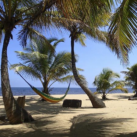 Sabal Beach Hotell Monkey River Town Exteriör bild