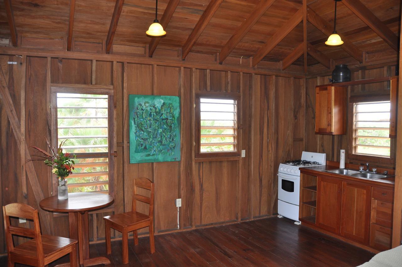 Sabal Beach Hotell Monkey River Town Rum bild