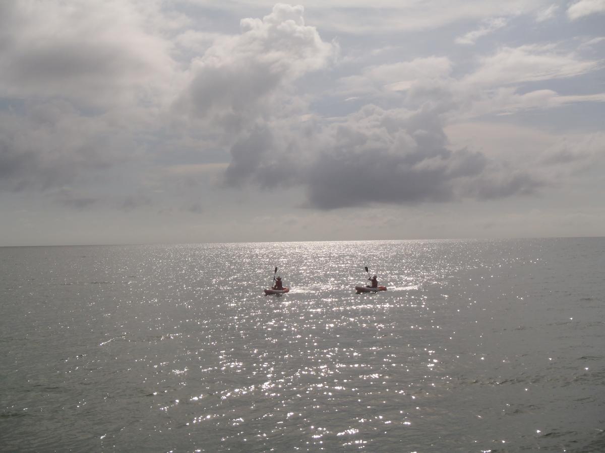 Sabal Beach Hotell Monkey River Town Exteriör bild