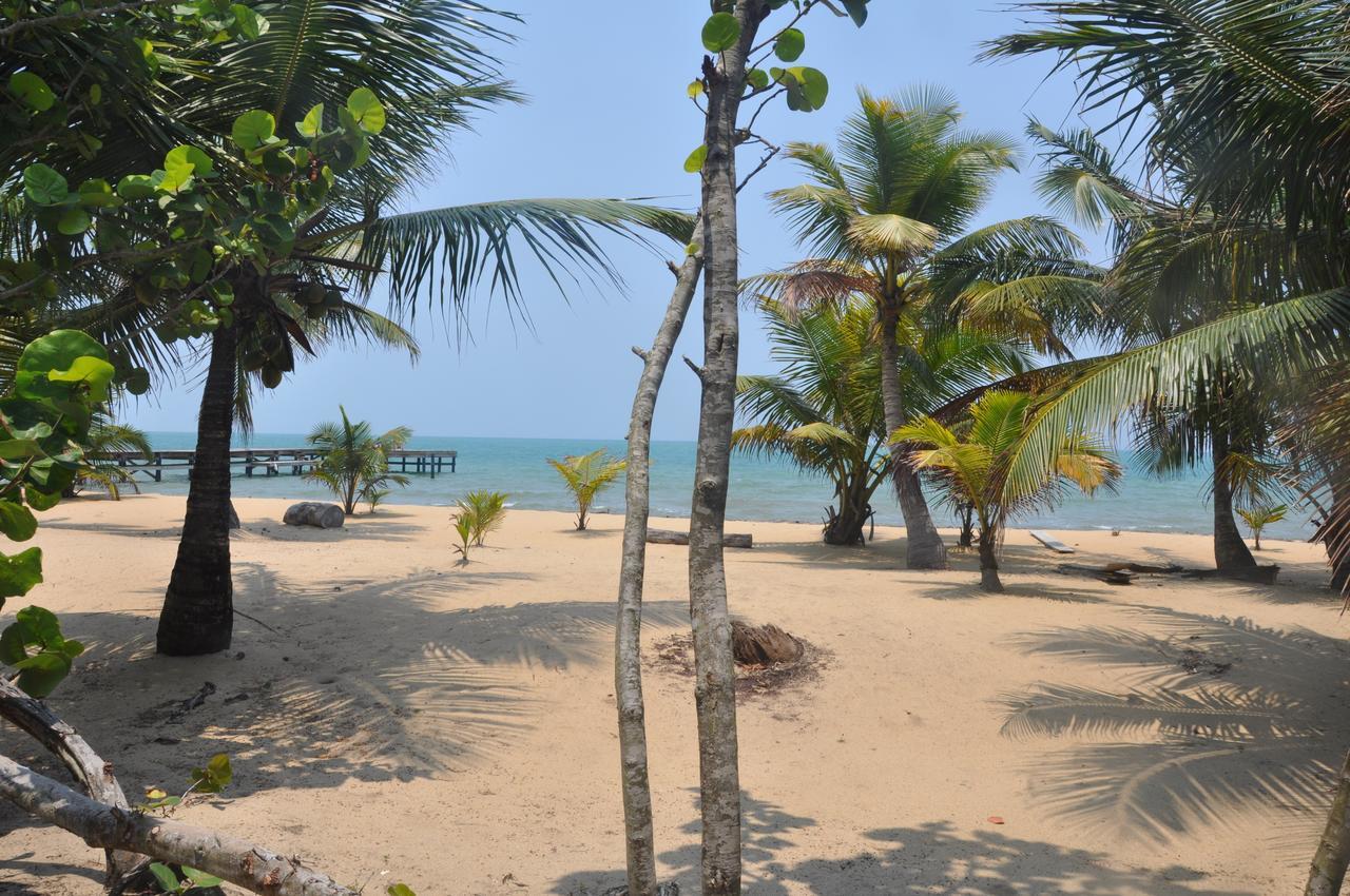 Sabal Beach Hotell Monkey River Town Exteriör bild