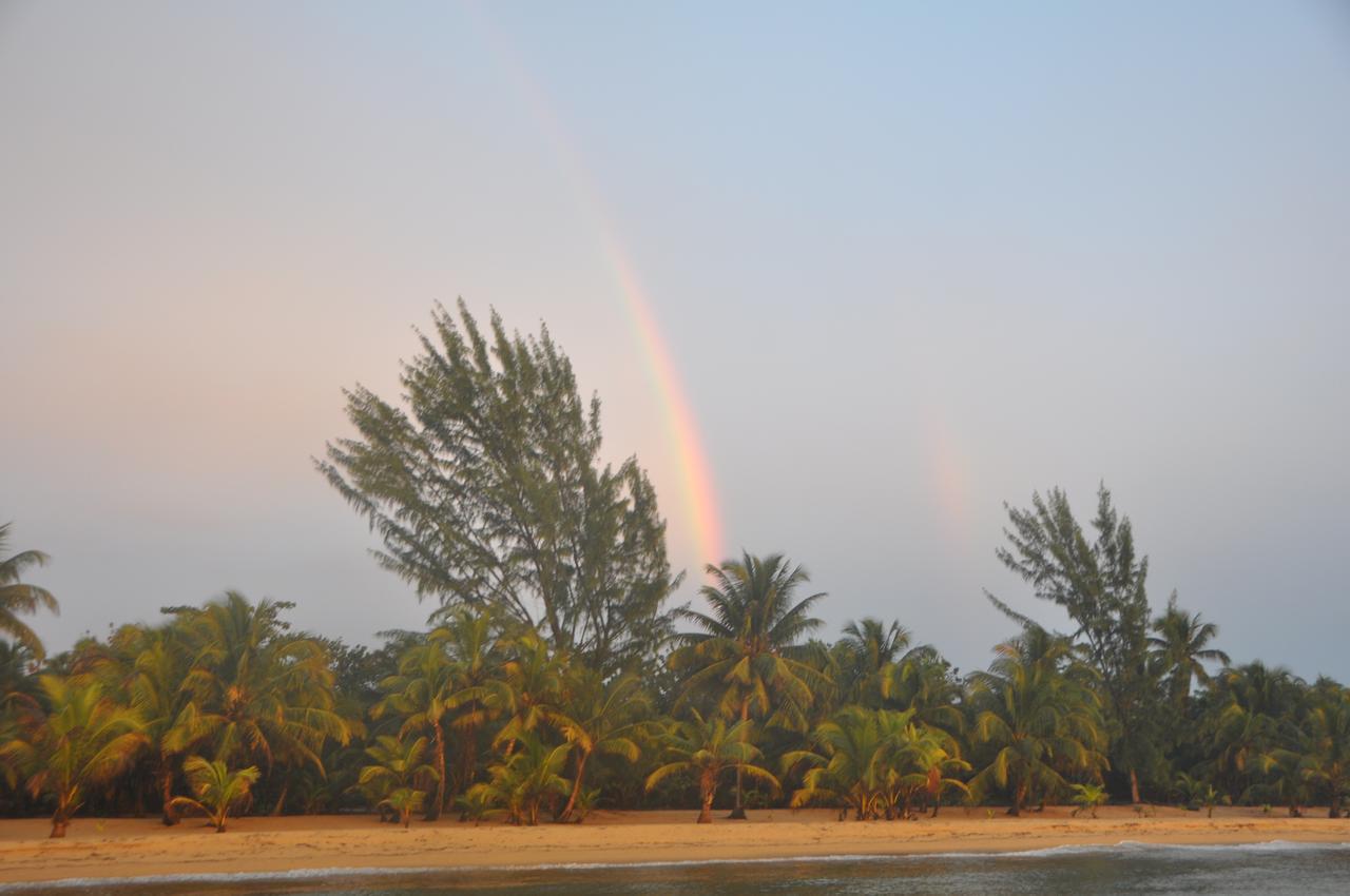 Sabal Beach Hotell Monkey River Town Exteriör bild