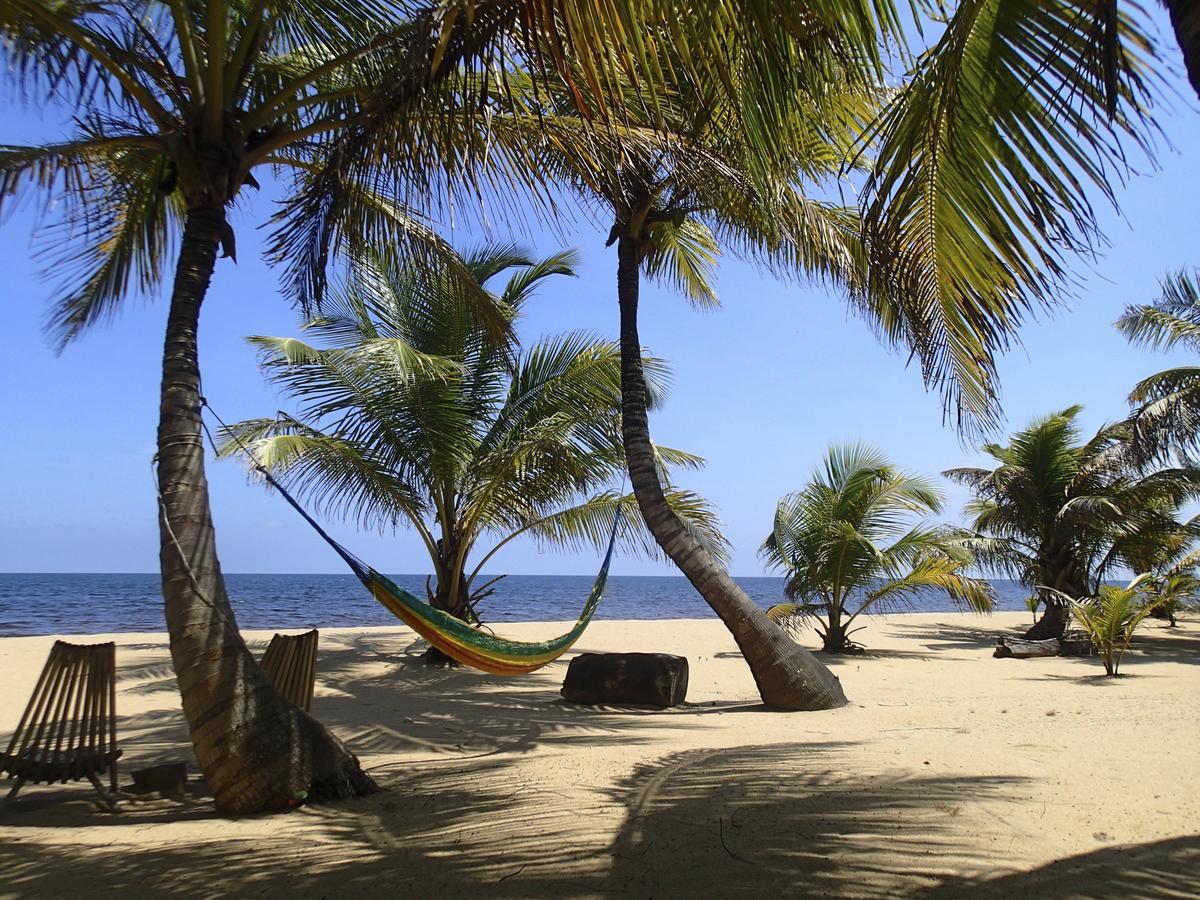 Sabal Beach Hotell Monkey River Town Exteriör bild